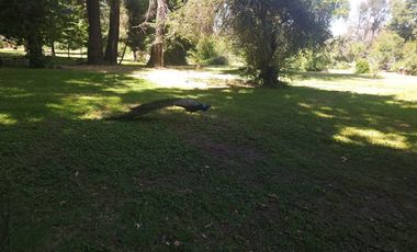 Gran Oportunidad Para Inversionistas  Parcela Parque