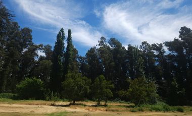 Gran Oportunidad Para Inversionistas  Parcela Parque