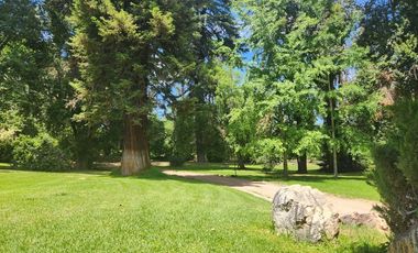 Gran Oportunidad Para Inversionistas  Parcela Parque