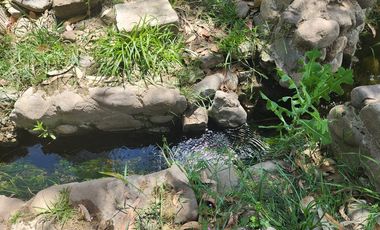 Gran Oportunidad Para Inversionistas  Parcela Parque