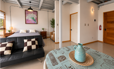 Arriendo loft amoblado a pocas cuadras de Avda. Francia, Cerro Monjas