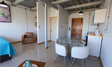 Arriendo loft amoblado a pocas cuadras de Avda. Francia, Cerro Monjas