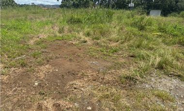 VENDO TERRENO MILLA 8