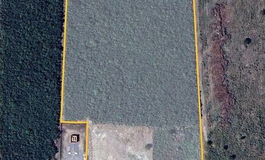 TERRENO EN RENTA CADEREYTA NL