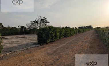 Venta Dpto Estreno 248 m2, Cerro Blanco, Surco.