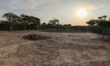Venta Dpto Estreno 248 m2, Cerro Blanco, Surco.