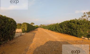 Venta Dpto Estreno 248 m2, Cerro Blanco, Surco.