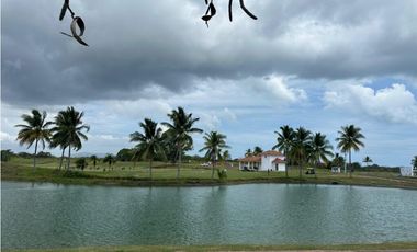 VENTA APARTAMENTO PH LAS OLAS II EN SAN CARLOS (OF)