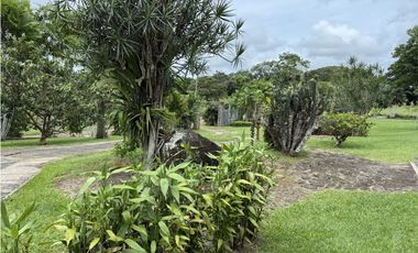 Se vende terreno en La Chorrera