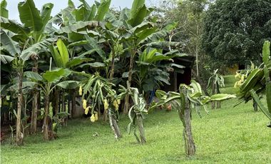 Se vende terreno en La Chorrera