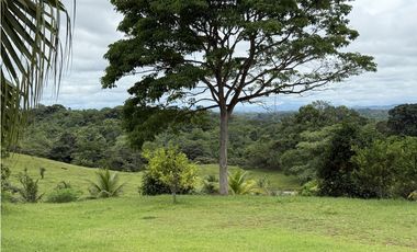 Se vende terreno en La Chorrera