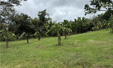 Se vende terreno en La Chorrera