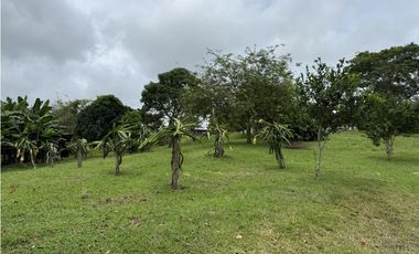 Se vende terreno en La Chorrera