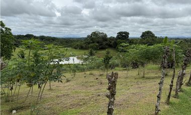 Se vende terreno en La Chorrera