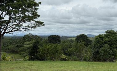 Se vende terreno en La Chorrera