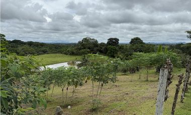 Se vende terreno en La Chorrera