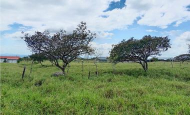 Lotes en venta en Alto Boquete, Boquete, Chiriquí