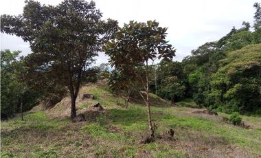 Lote en venta en Jaramillo Abajo, Jaramillo, Boquete