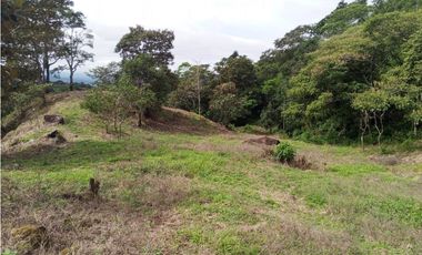 Lote en venta en Jaramillo Abajo, Jaramillo, Boquete