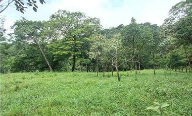 Lote en venta en Jaramillo Abajo, Jaramillo, Boquete