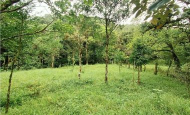 Lote en venta en Jaramillo Abajo, Jaramillo, Boquete