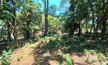 Lote en venta en Jaramillo Abajo, Jaramillo, Boquete