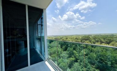THE IVY - SANTA MARIA - VENTA