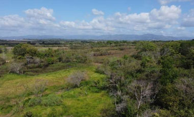 SE VENDE 9.96 HECTREAS EN PACORA