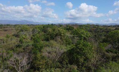SE VENDE 9.96 HECTREAS EN PACORA