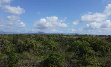 SE VENDE 9.96 HECTREAS EN PACORA