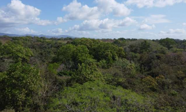 SE VENDE 9.96 HECTREAS EN PACORA