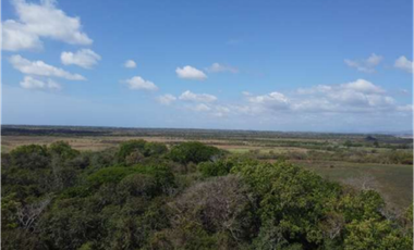 SE VENDE 9.96 HECTREAS EN PACORA