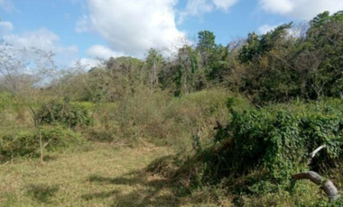 SE VENDE 9.96 HECTREAS EN PACORA