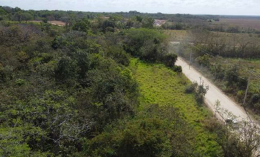 SE VENDE 9.96 HECTREAS EN PACORA