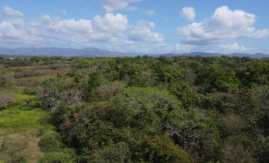 SE VENDE 9.96 HECTREAS EN PACORA