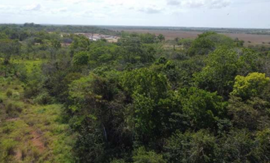 SE VENDE 9.96 HECTREAS EN PACORA