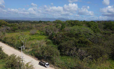 SE VENDE 9.96 HECTREAS EN PACORA