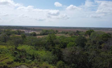 SE VENDE 9.96 HECTREAS EN PACORA