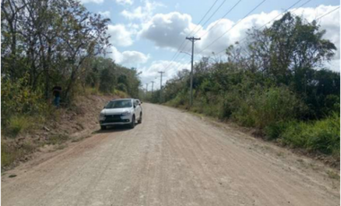 SE VENDE 9.96 HECTREAS EN PACORA