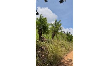 Se Vende Finca ganadera en Capira -ideal para producción (LM)