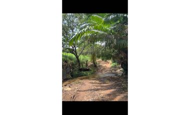 Se Vende Finca ganadera en Capira -ideal para producción (LM)