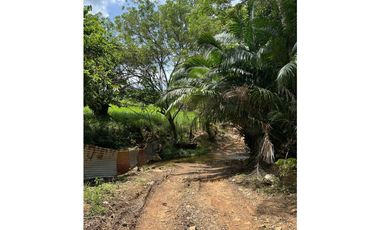 Se Vende Finca ganadera en Capira -ideal para producción (LM)