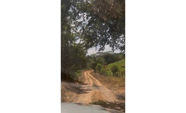 Se Vende Finca ganadera en Capira -ideal para producción (LM)