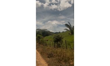 Se Vende Finca ganadera en Capira -ideal para producción (LM)