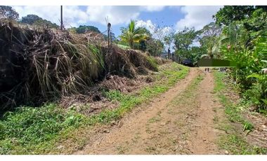 Venta de Lote de Terreno de 1.950 m² en Chilibre.