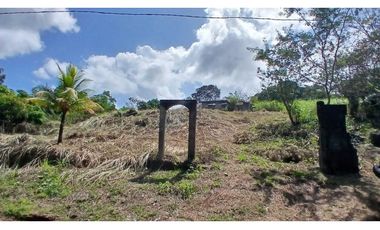 Venta de Lote de Terreno de 1.950 m² en Chilibre.