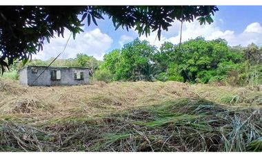 Venta de Lote de Terreno de 1.950 m² en Chilibre.