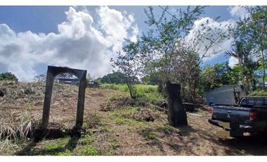 Venta de Lote de Terreno de 1.950 m² en Chilibre.