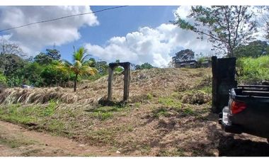 Venta de Lote de Terreno de 1.950 m² en Chilibre.