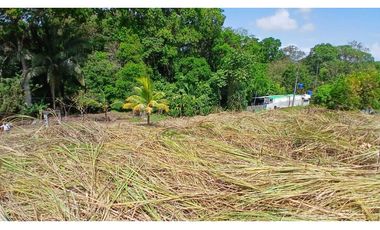 Venta de Lote de Terreno de 1.950 m² en Chilibre.